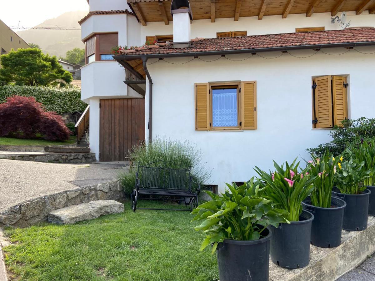Ferienwohnungen Kaltenbachhof - Urlaub Auf Dem Biobauernhof Parcines Exterior foto